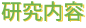 研究内容